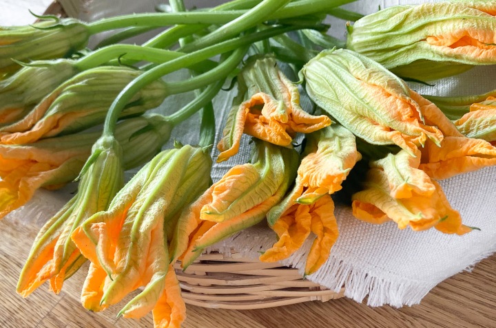 flor de calabaza