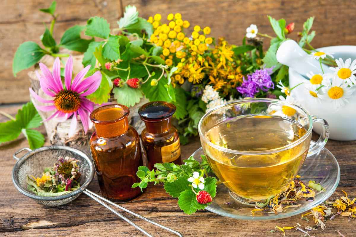 té de flor de calabaza y hierbas