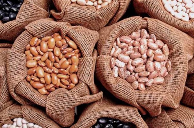 4 tipos de frijoles mexicanos en peligro de extinción y que debes probar