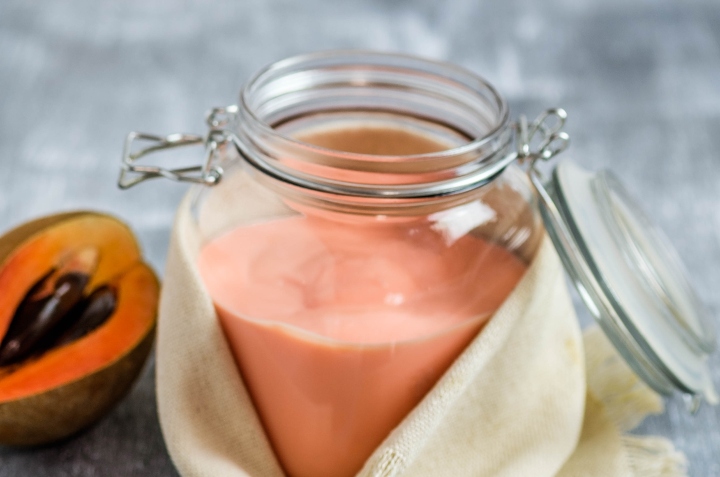 yogurt de mamey casero