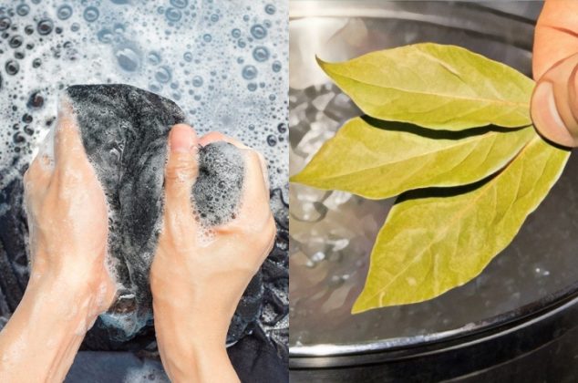 Beneficios de poner hojas de laurel al lavar tu ropa desteñida