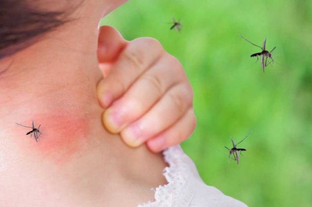 Cómo usar el vinagre para ahuyentar a los mosquitos en la noche