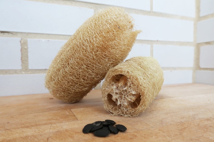 cómo cultivar luffa