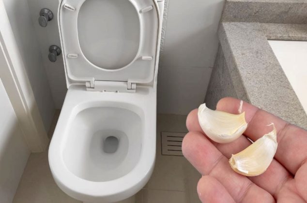 El truco del ajo en el inodoro que debes probar en casa