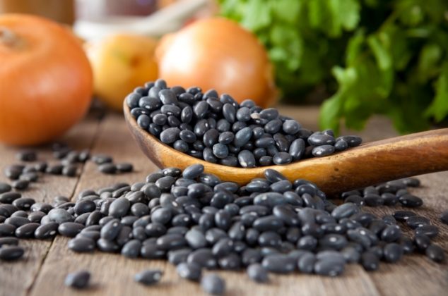 Aprende cómo cultivar frijol ¡En 5 sencillos pasos!