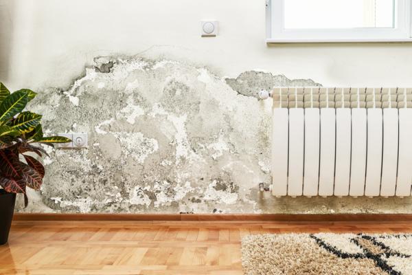cómo eliminar la humedad de las paredes