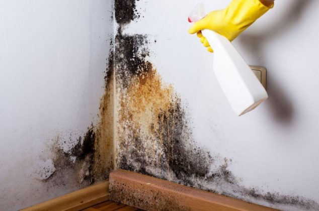 3 trucos para eliminar la humedad de las paredes y evitar que aparezca de nuevo