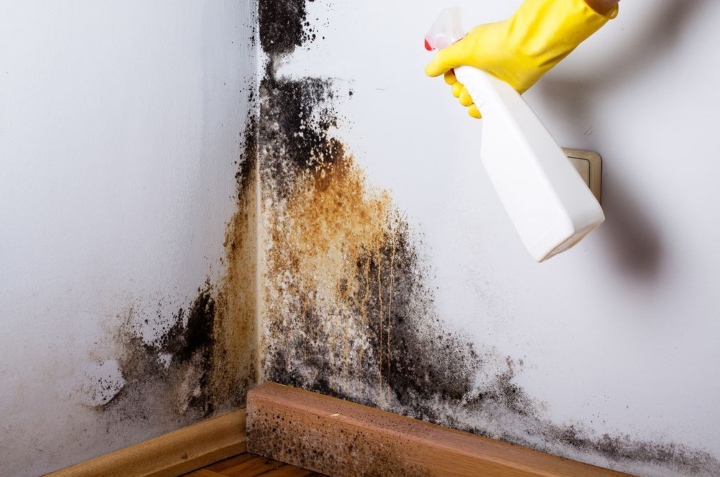 cómo eliminar la humedad de las paredes