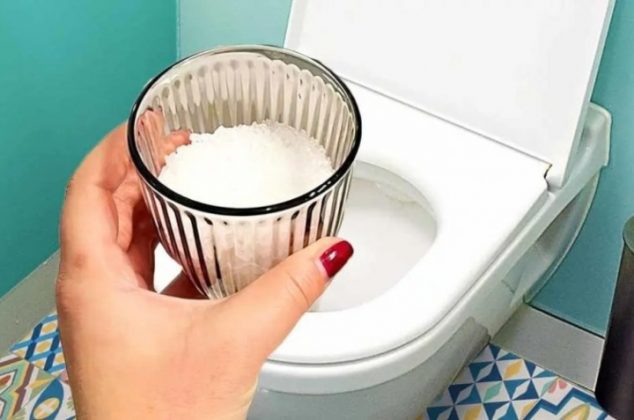 1 vaso de sal ayuda a solucionar 8 grandes problemas de tu casa