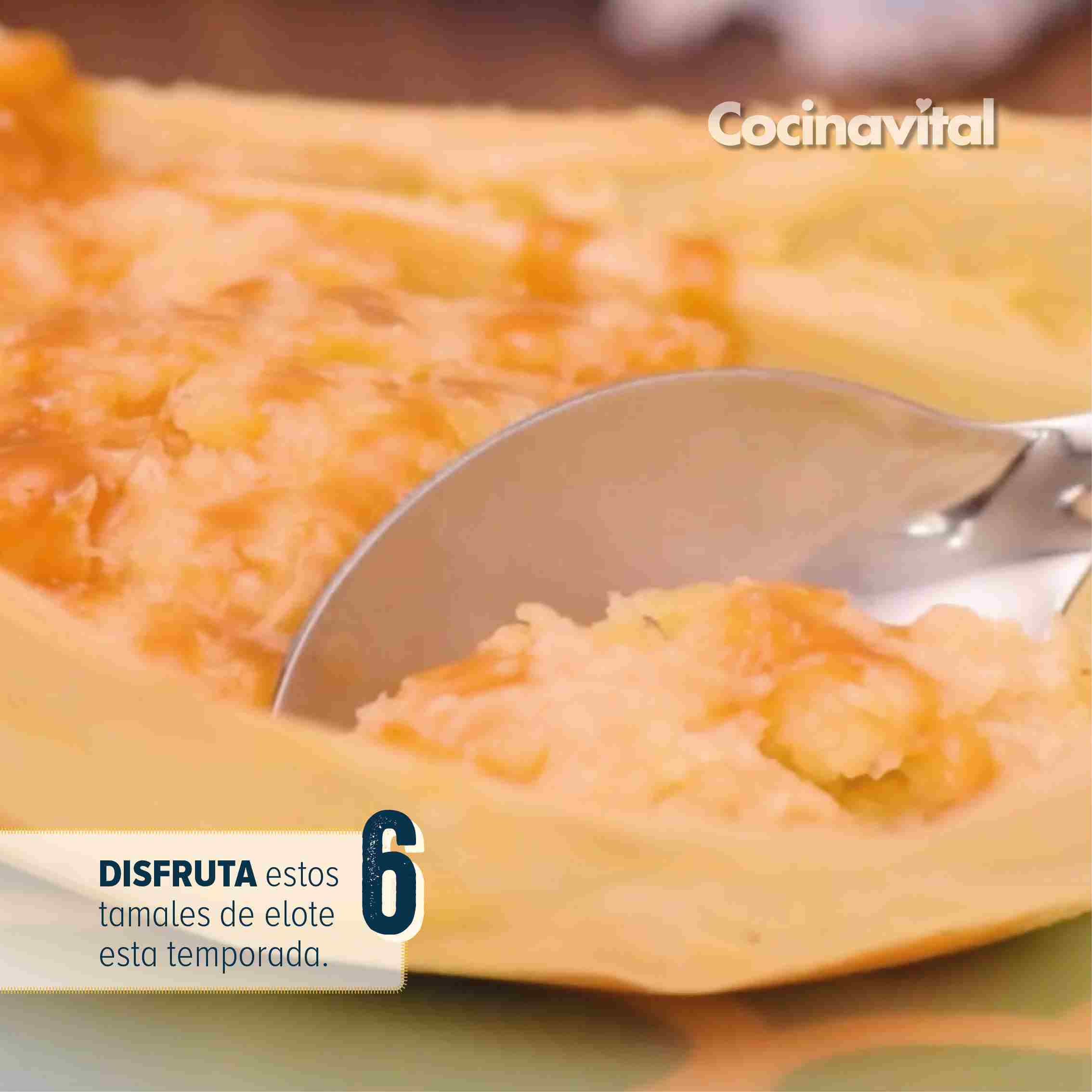 Disfruta de estos tamales