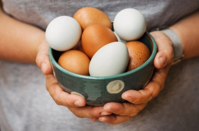 Mitos y verdades sobre el consumo del huevo en México