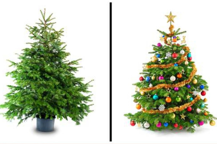 árbol de navidad natural o artificial