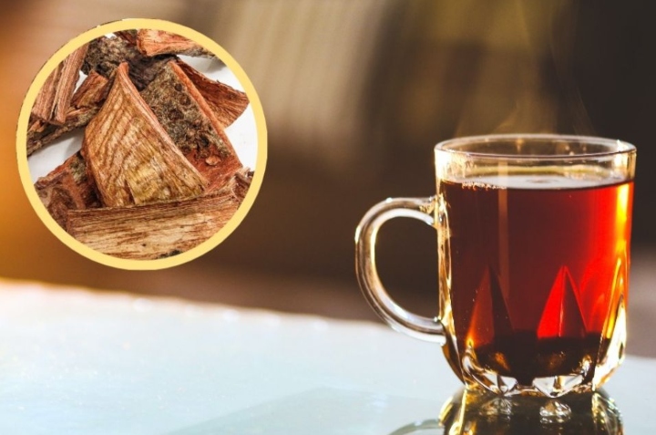 beneficios del cuachalalate