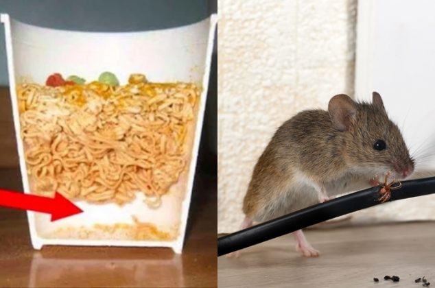 Cómo hacer veneno para ratones y cucarachas con una sopa instantánea