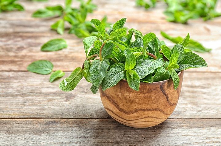 5 hierbas aromáticas para decorar y perfumar tu casa 0