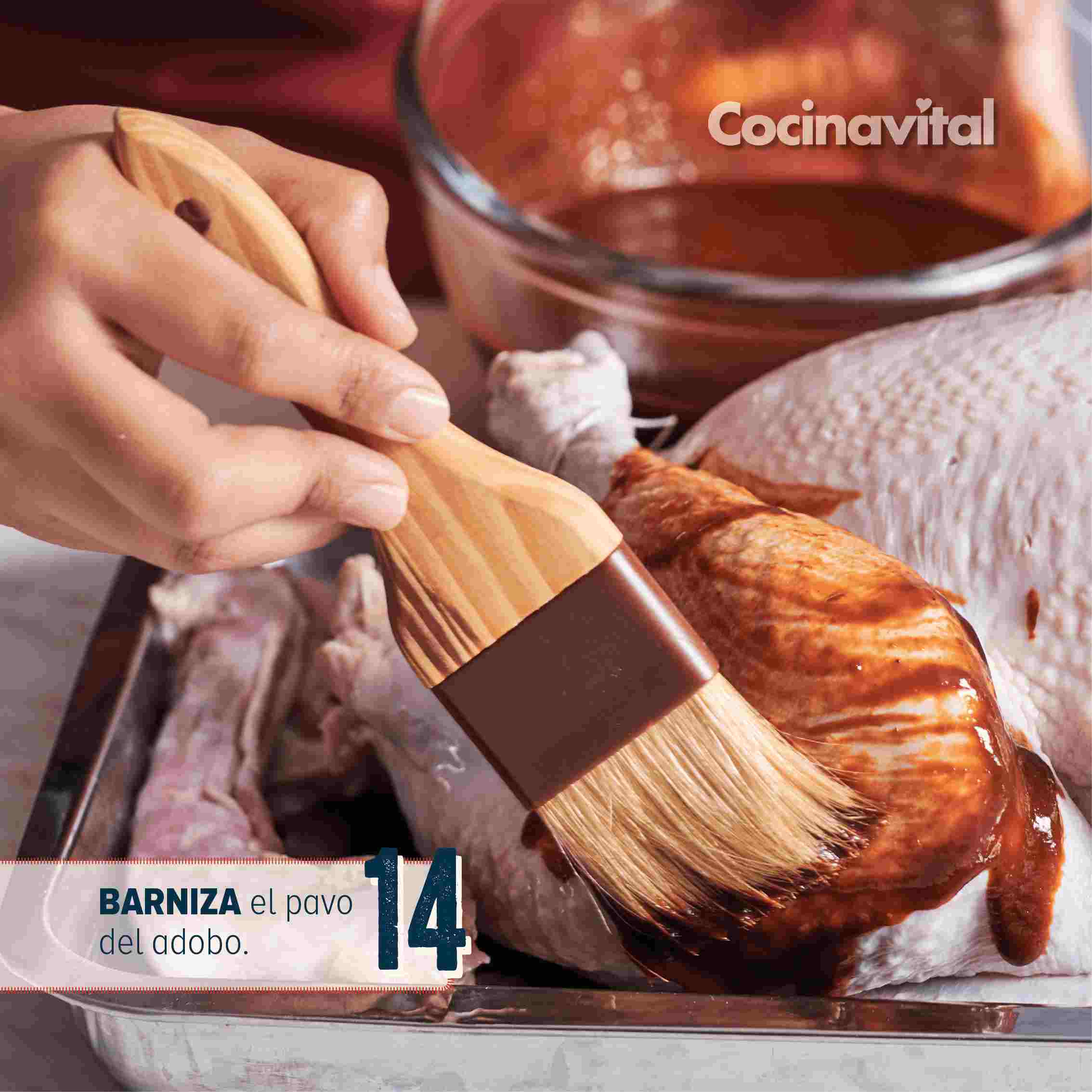 14. BARNIZA el pavo del adobo. 