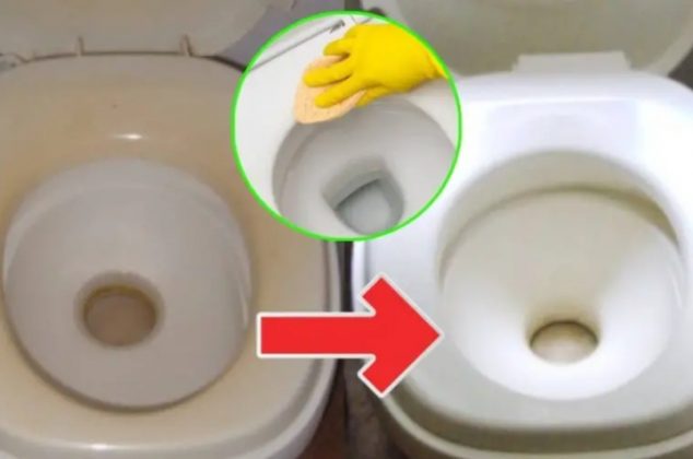Cómo hacer que un asiento de inodoro amarillento sea blanco otra vez