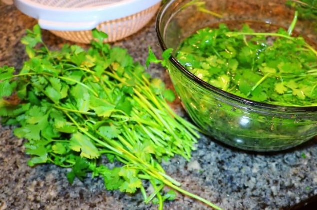 El truco para conservar el cilantro fresco hasta por un mes