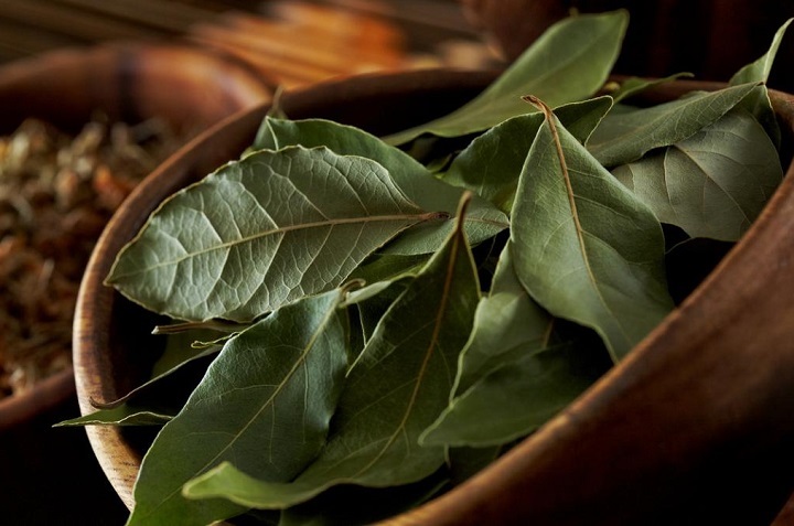 trucos con hojas de laurel