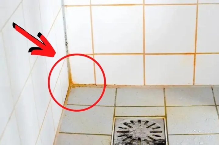 cómo limpiar suciedad del baño