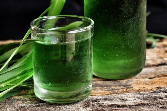 Por estas razones no se puede preparar clorofila caliente o té de clorofila