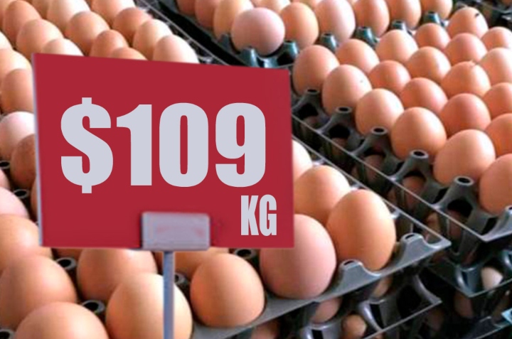 kilo de huevo