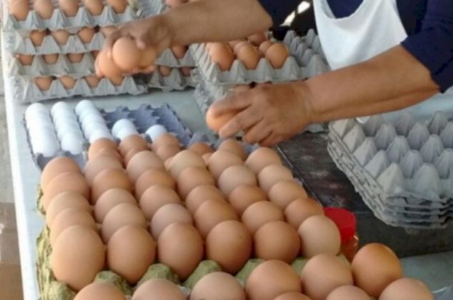 ¿Huevo clandestino? El peligroso motivo del precio del huevo elevado en México