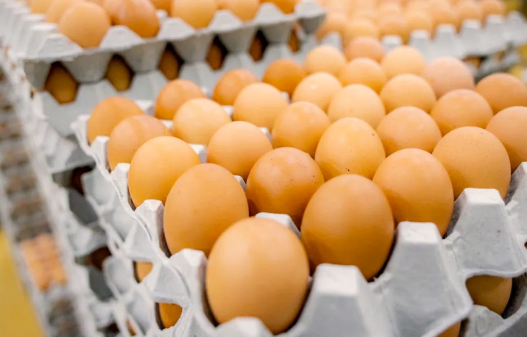 precio del huevo en México