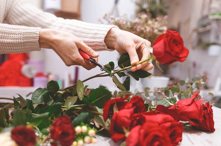 Cómo cuidar y conservar un ramo de rosas cortadas por más tiempo 0
