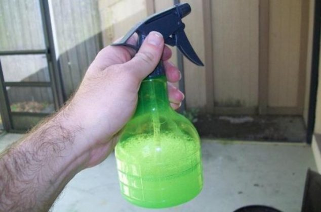 Cómo hacer insecticida casero para ahuyentar moscas y mosquitos de casa