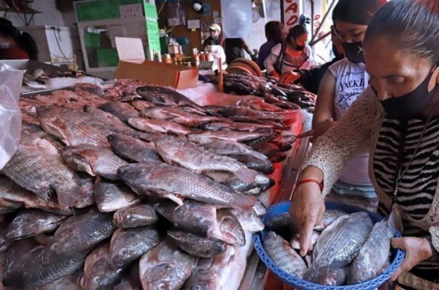 Consejos para comprar pescados y mariscos según COFEPRIS