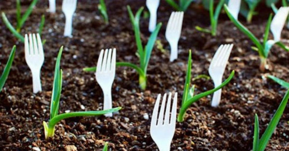 enterrar tenedores en el jardín