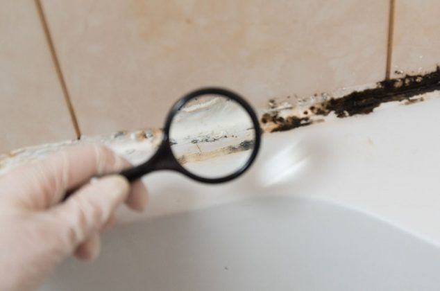 Cómo eliminar el moho negro de la silicona de tu bañera
