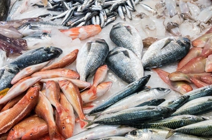 COEPRIS revela los mejores consejos para comprar pescados y mariscos en buen estado