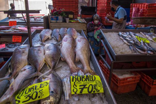 pescados y mariscos según profeco