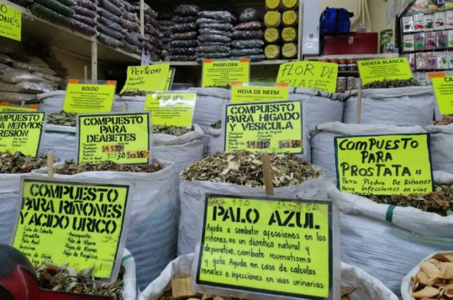 6 plantas medicinales para los riñones y vías urinarias