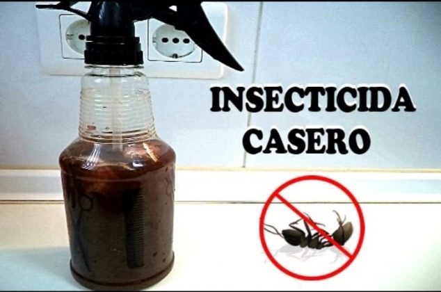 6 preparaciones caseras para alejar a las hormigas de tu casa