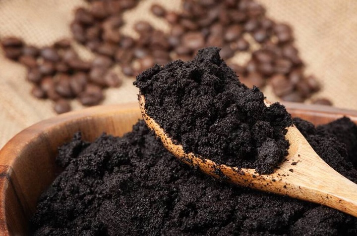 Cómo usar el café para alejar las pulgas de tu mascota 