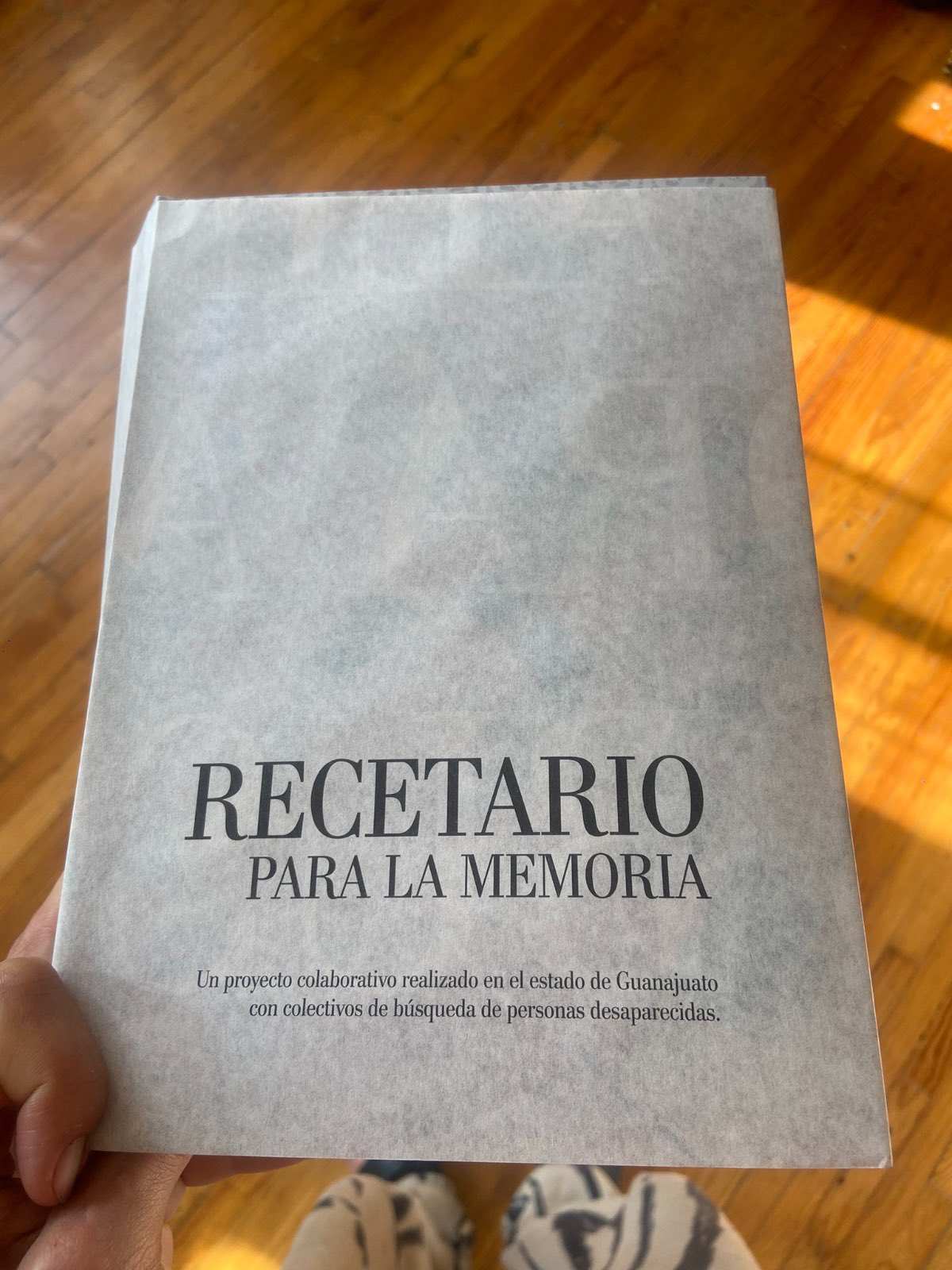 recetario para la memoria libro gratis