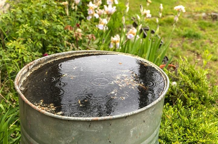 Conoce los usos del agua de lluvia en el hogar