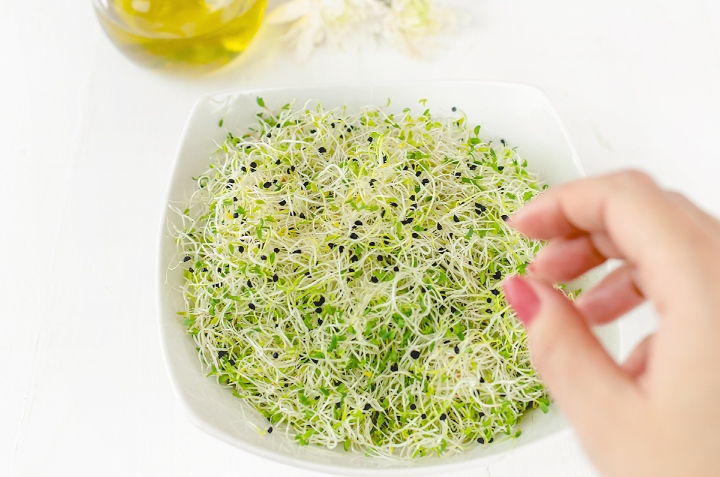 Proteína