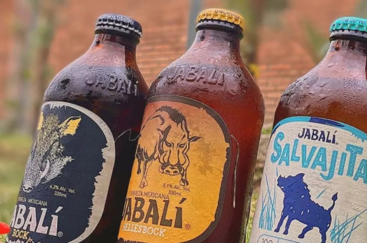 tipo de cerveza