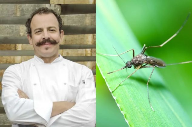 Esta mezcla usa el chef Benito Molina para ahuyentar zancudos de la cocina