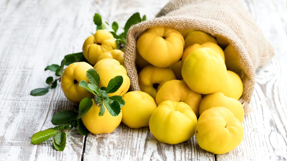 fruto de membrillo