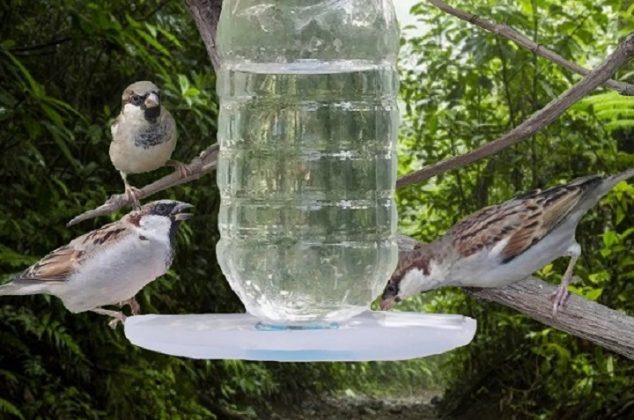 Cómo hacer un bebedero casero para aves con una botella de plástico