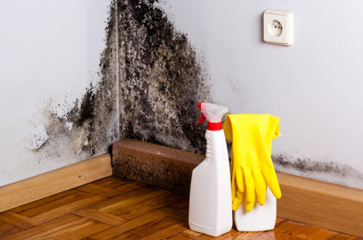 Cómo eliminar para siempre la humedad de las paredes con 2 materiales