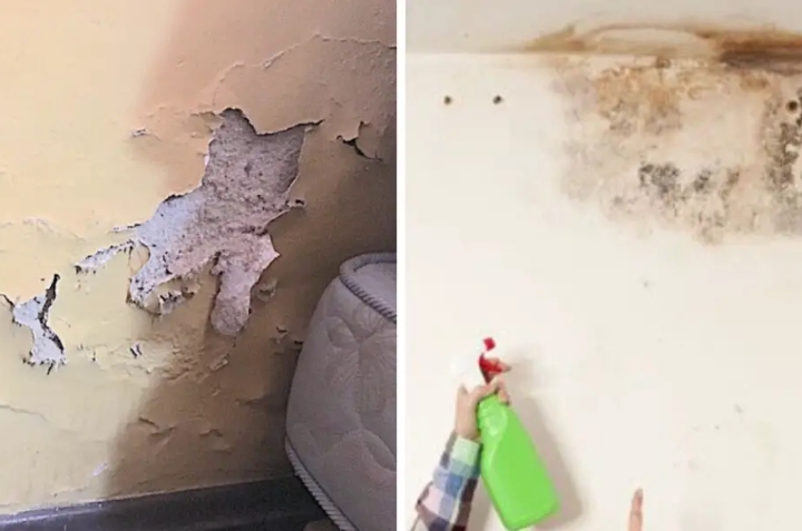 cómo quitar la humedad de las paredes