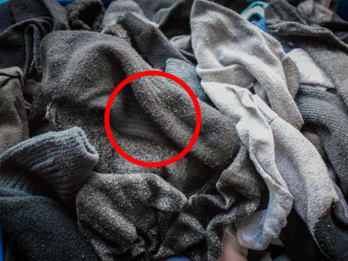 pelusa en ropa negra