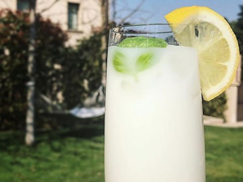 receta de calpis