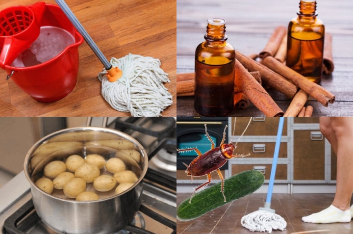 9 productos y mezclas naturales para trapear el piso y sus beneficios